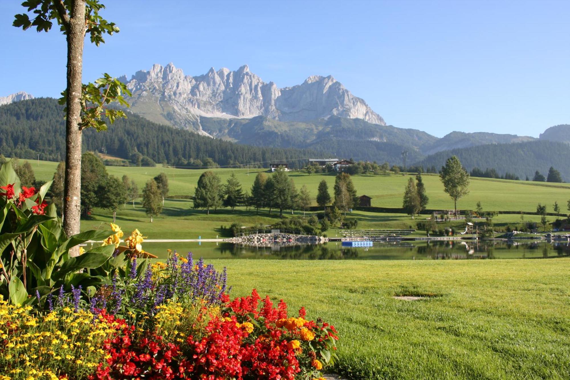 克劳迪亚公寓 Going am Wilden Kaiser 外观 照片